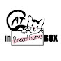 Cat in BoardGame Box
